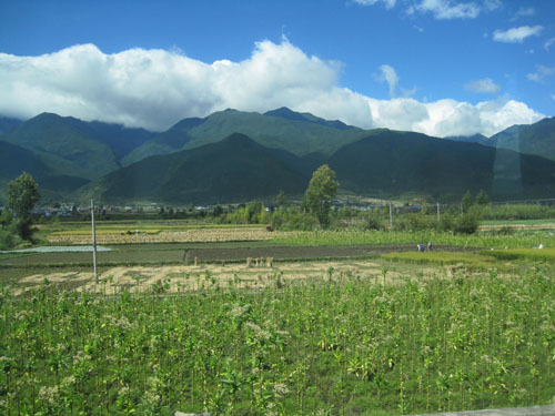 大理农村风景